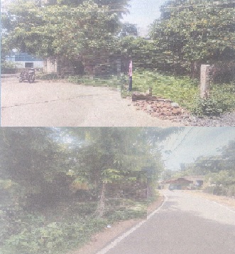course