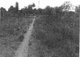 course